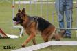 Etoo SG 1 Belgium Siegershow by judge Helmut König