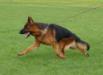 Arex Jr. Bilder 06.09.2010