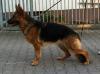 Leonie mit 2,5 Jahre alt