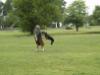 good catch