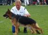 Etsch With Winfrid Benitz 
