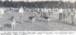 Alf vom Nordfelsen going VA1 in Germany, 1955