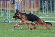 Tyson in action
