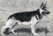Gero von der Spargelhalle