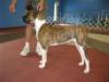 BETH'S BULLYS