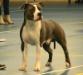 Paco alias takel four love zonanona