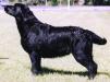  Blackwaters Remarkable