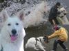 Faust de Blindete (Ahlitah Quest kennel)