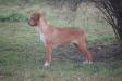  fatale lady des chasseurs des grands pres