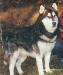  Moose Creek Tulugak