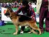 V (INDIA) & IND CHAM Quarz vom Murrtal