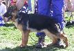 Bacca vom Mittelwest