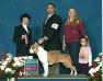 GCH Christian's Divine Retribution