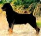 INT. CHAMPION Kostlich Maverick Von Ursa