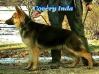 Covery Inda