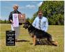 Somerset Rose's Victory W Honor
