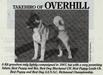  Takehiro Of Overhill
