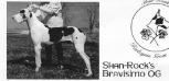  Shan-Rock's Bravisimo Og
