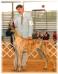 CH Rojon's Simply Majestic Tatum