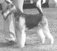 Blackheath's Isadora