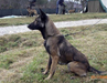  Dakota de la Plate Fosse