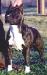 Tonkawa Mary Lou