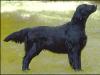  Inkwells Named Shadow