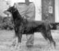  Drago Von Der Klosterweide