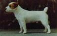 AU CH Malung/JR Napoleon