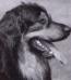 Basko von der Asseburg