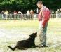 Selection Clermont de l'Oise 1997 Murphy de la cite des grands feux