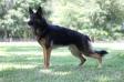 Kato von der Tetiaroa