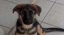 Derek do Monte Celeste