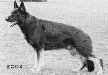 V Lump vom Osterberger-Land