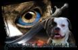 CloverBull's Golden Eyes of Simply Incred-A-Bull