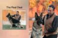 SEL CH (US) & CAN CH Woodsides The Real Deal