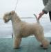 Keep Cool Bonaquarel Ot Universal Pictures