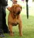  Emberez the Big Show Knox