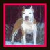Jutta Elus Relsi Shadow