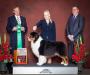 BIS AKC/ASCA INT CH Bayouland's Big EZ