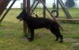 Ben (vom Old Guard)