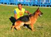 Balto do Veleiral