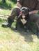 Sheba Walter