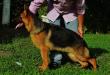 Enzo do Espirito Guerreiro