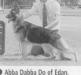 Abba Dabba Do Of Edan