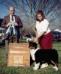 AKC Ch. Outlaw's Saloon Girl of Old West