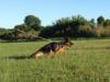 Athos Team Von Klett