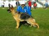 Huggie Schreidon