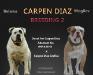 Carpen Diaz Nonpareil