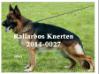 Rallarbo's Knerten